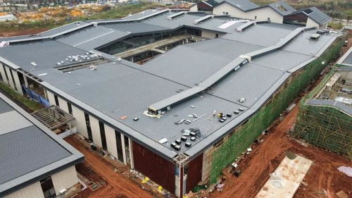 年末集中發力 遂寧這些項目進度再刷新